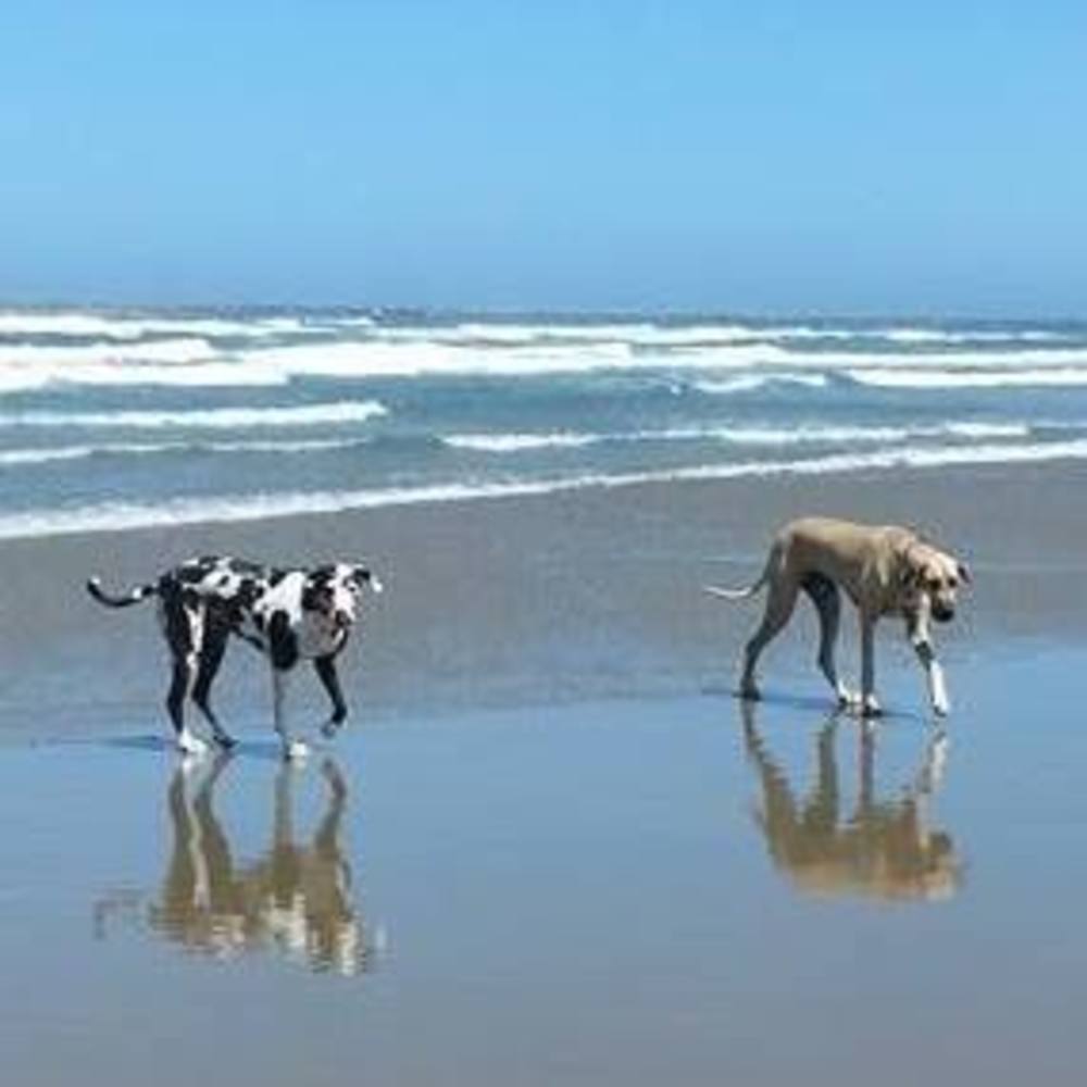 Meet your Posher, Sue